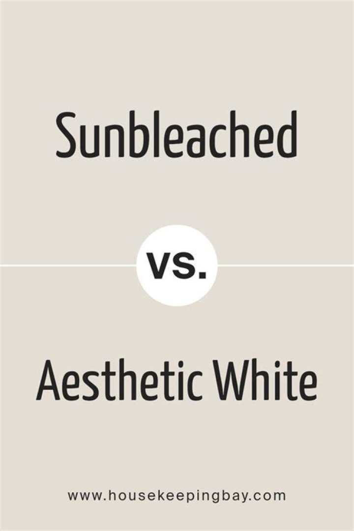 Follow sunbleached swim for aesthetic summer beach travel vibe photos