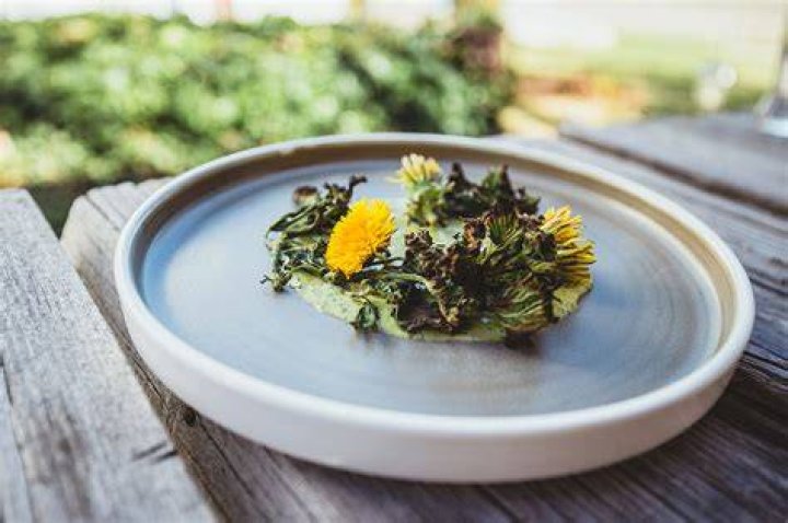 Foraging and Feasting in Alberta Avenue Calgary