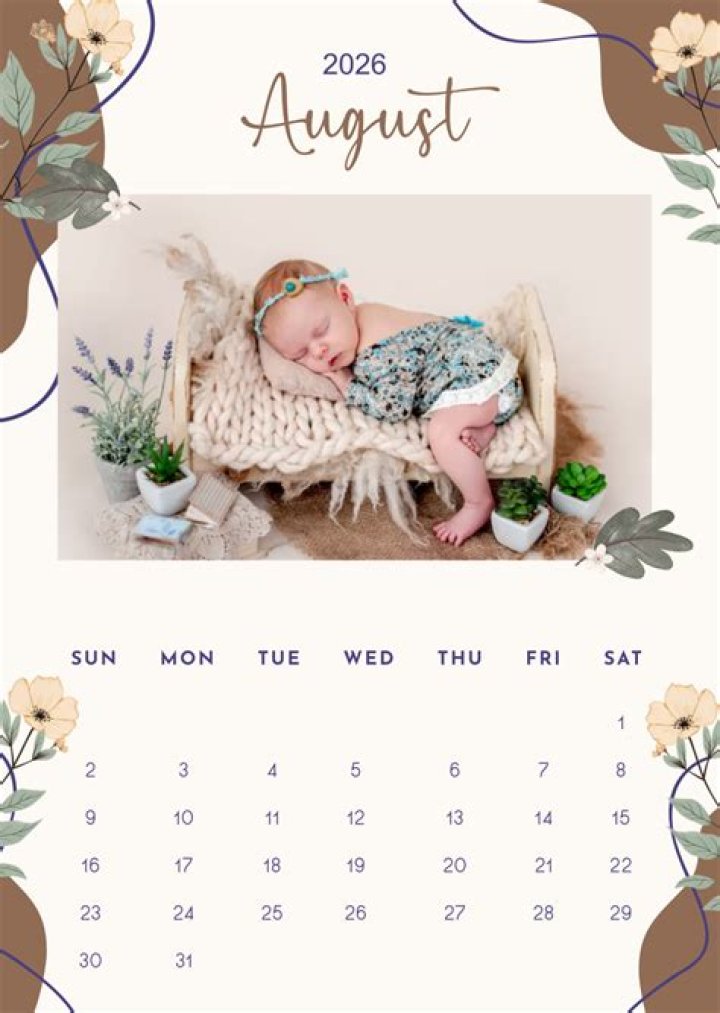 Four seasons baby calendar stock image. Image of autumn 51788167