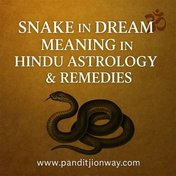 Freakin Meaning in Hindi/Freakin का अर्थ या मतलब क्या होता है YouTube