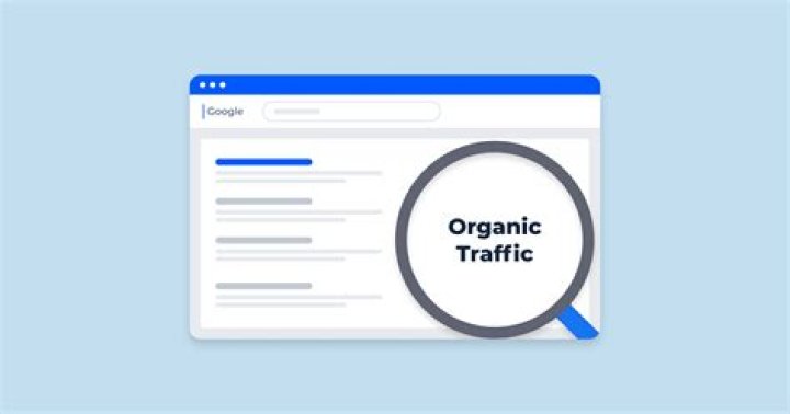 Free Google Organic Search Engine Ranking Report mpromote
