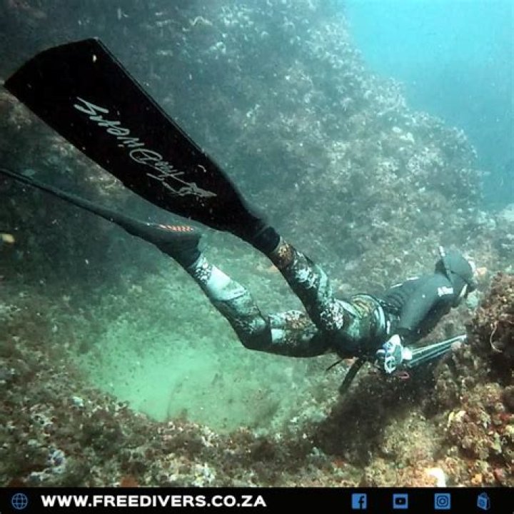 Freedivers South Africa Durban