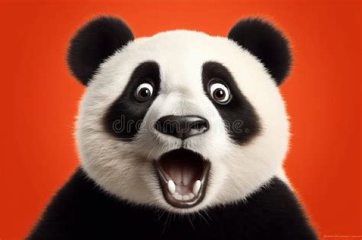 Funny expression of giant panda Meng Er breaking bamboo YouTube