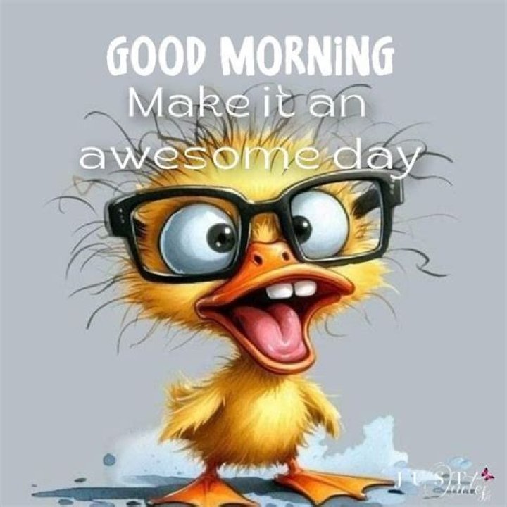 funny good morning images