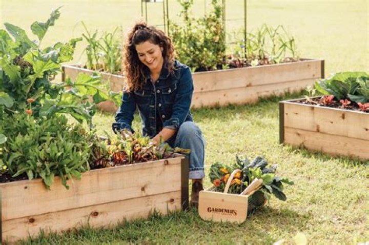 Garden Tools, Planters, Raised Garden Beds +More Gardener's Supply