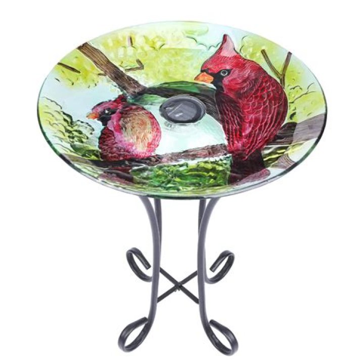 Gardenline Glass Bird Bath with Stand ALDI US