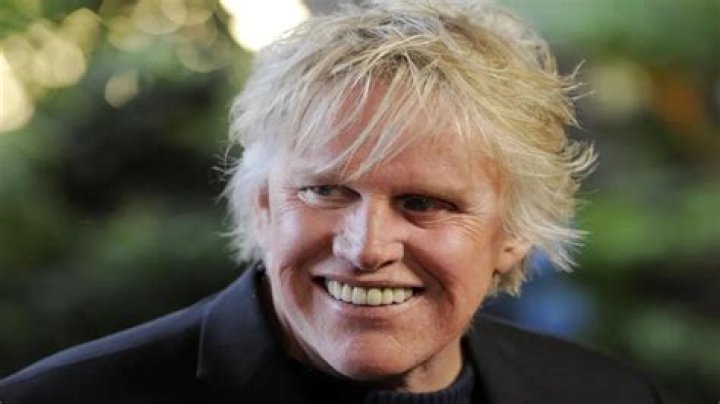 Gary Busey Allegedly Involved in HitandRun Accident