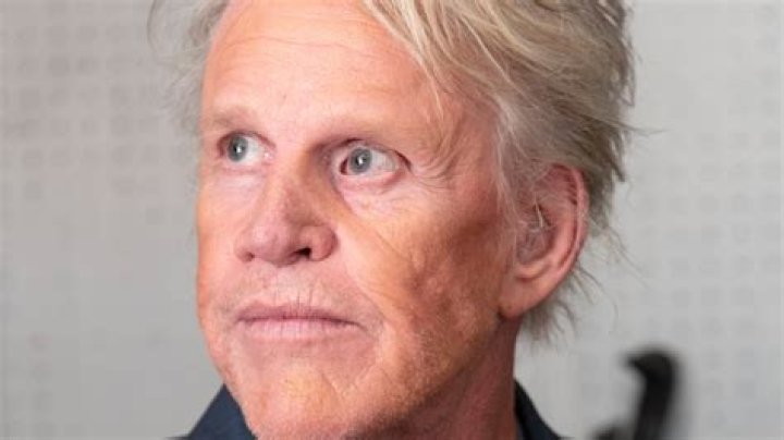 Gary Busey faces sex charges in New Jersey Fox News