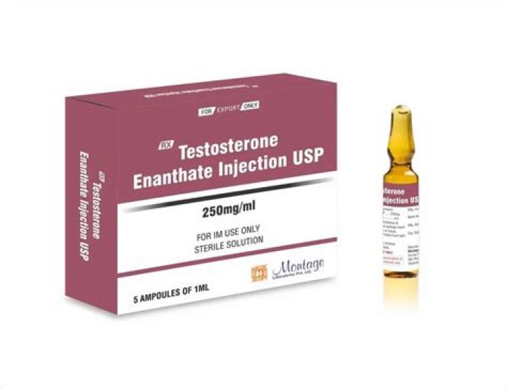 Geneza Pharma Testosterone Enanthate Passes in Its Debut on AnabolicLab