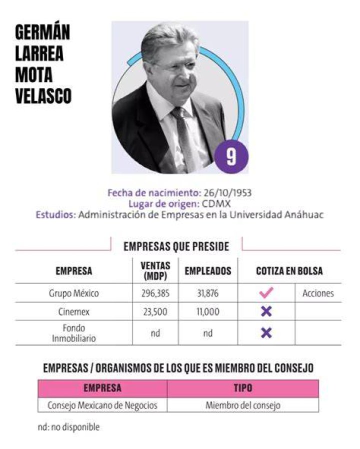 Germ&aacute;n Larrea Mota Velasco Net Worth How Much is Mota Velasco Worth?