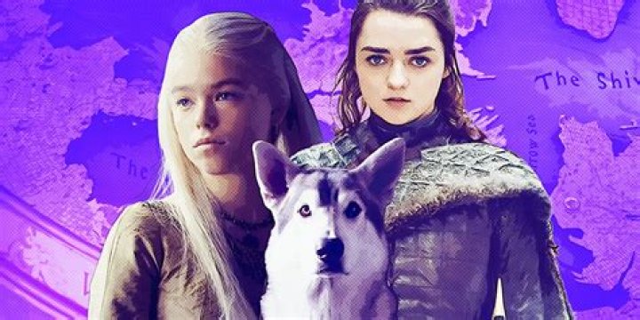Get to know Nymeria from Pearl's Ragdolls YouTube