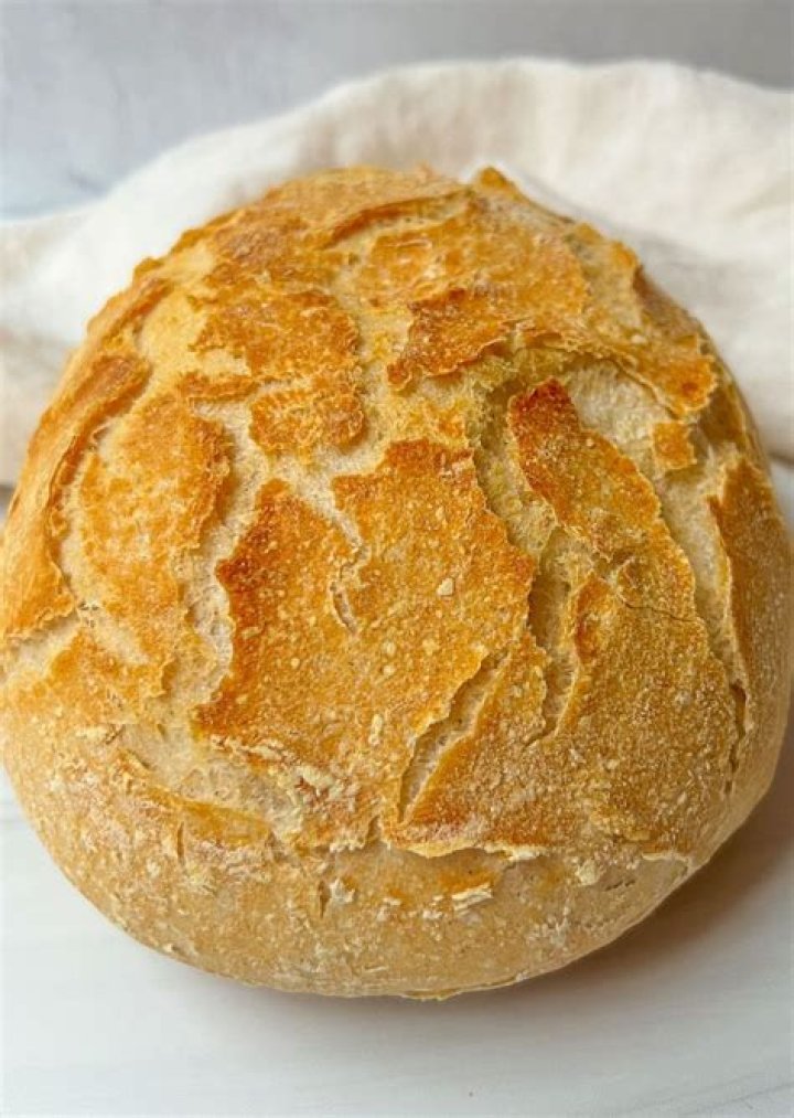 GlutenFree No Knead Bread The Sassy Dietitian Gluten Free Artisan