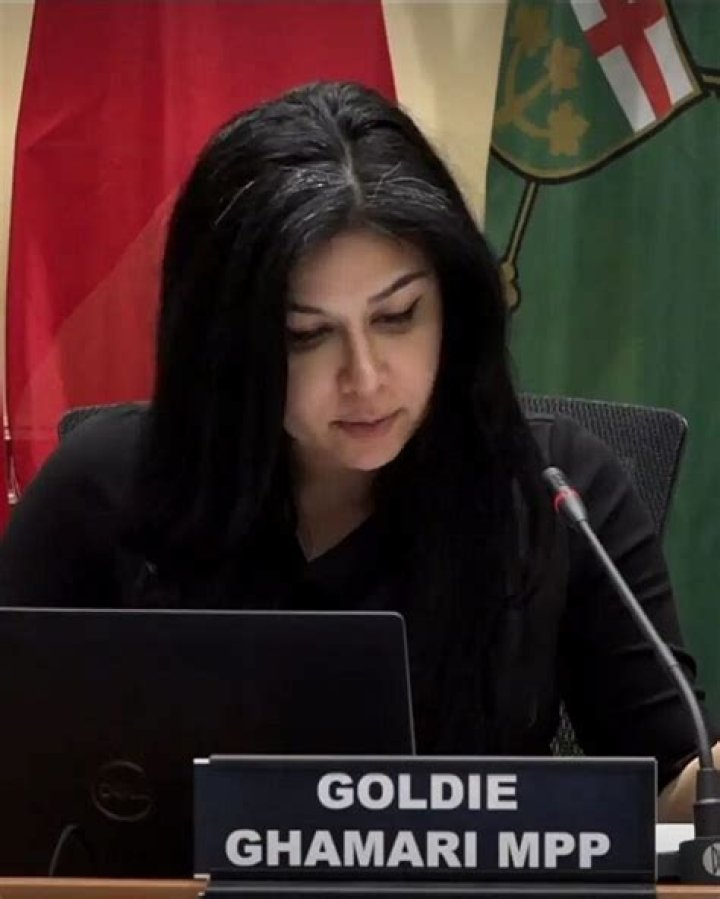 Goldie Ghamari, MPP YouTube