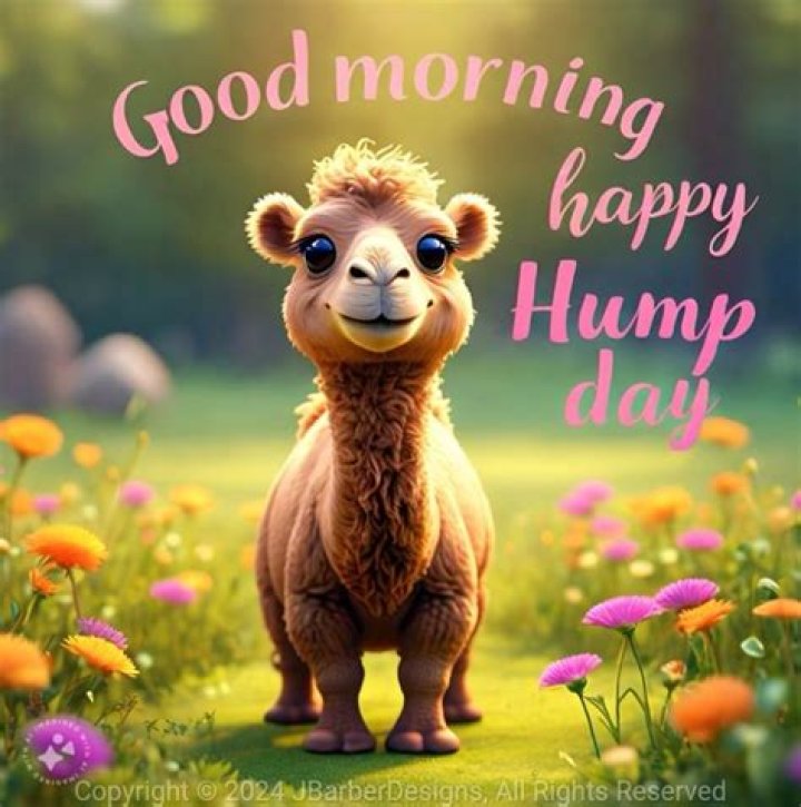 Good Morning, Happy Hump Day Pictures, Photos, and Images for Facebook