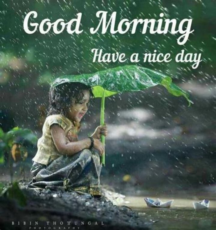 Good morning images in rainy day. goodmorningrainyday