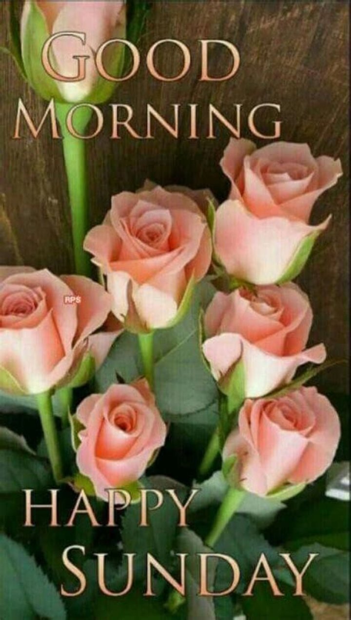 Good Morning Wishes On Sunday Pictures, Images