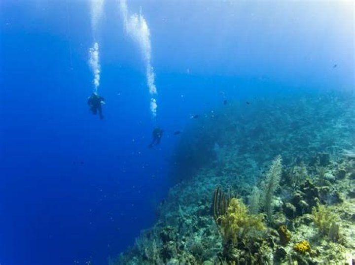 Grand Turk. 7,000ft drop off just a short swim from shore. r
