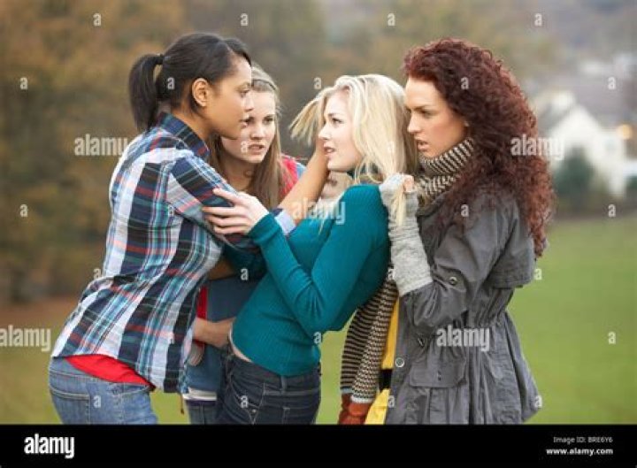 Group Of Female Teenagers Bullying Girl Stock image Colourbox