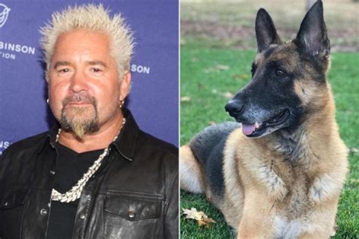 Guy Fieri Shares News of Dog's Death the Day Before His Birthday