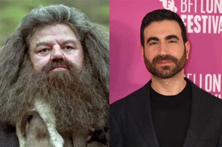 Hagrid Actor RosinRumaisa