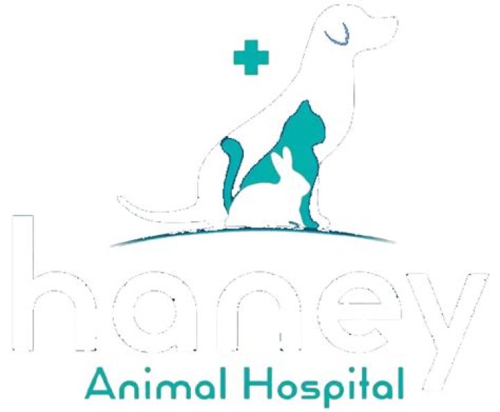 Haney Animal Hospital