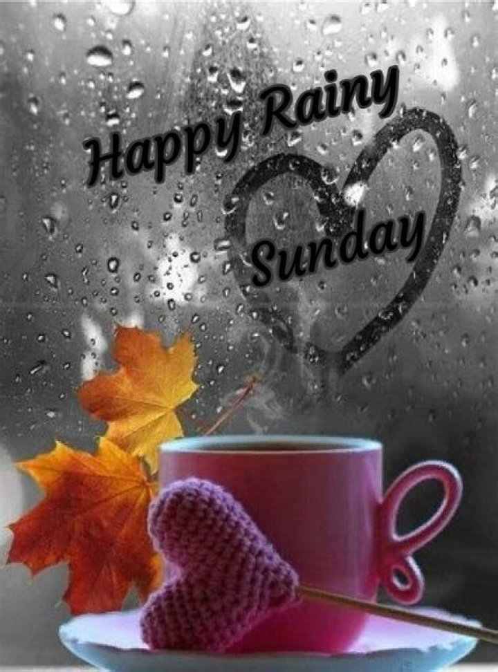Happy Rainy Sunday Good Morning
