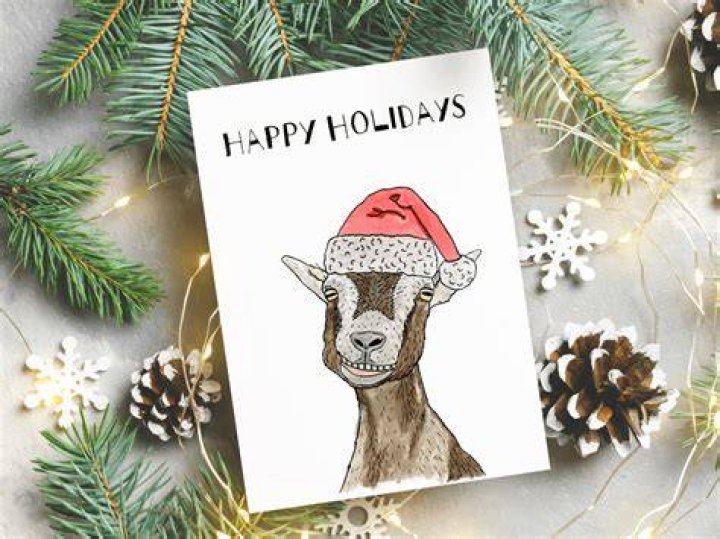 Harry Holidays Christmas Card
