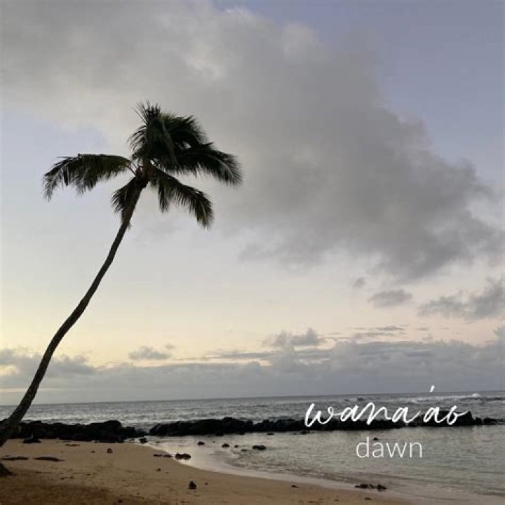 Hawaiian Word of the Week E hele kaua i ke kahakai &mdash; She Lives Aloha