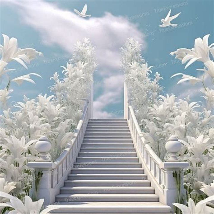 Heaven Cartoon Pin On Godswordlet Itdeliver You! Liferisife