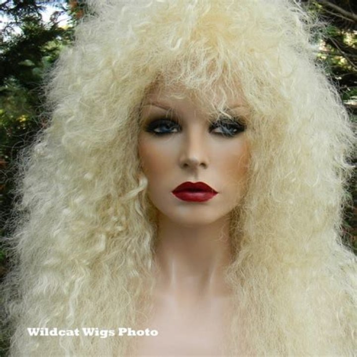 HEAVY METAL Wig .. 80's Stevie Nicks .. Rocker Unisex Wig Etsy