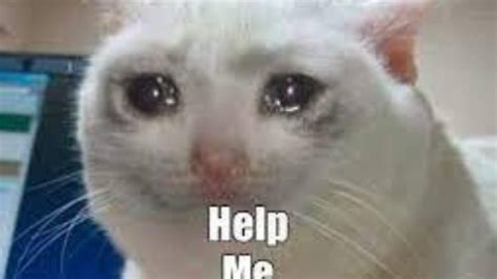 Helppp meee pleaseee Brainly.ph