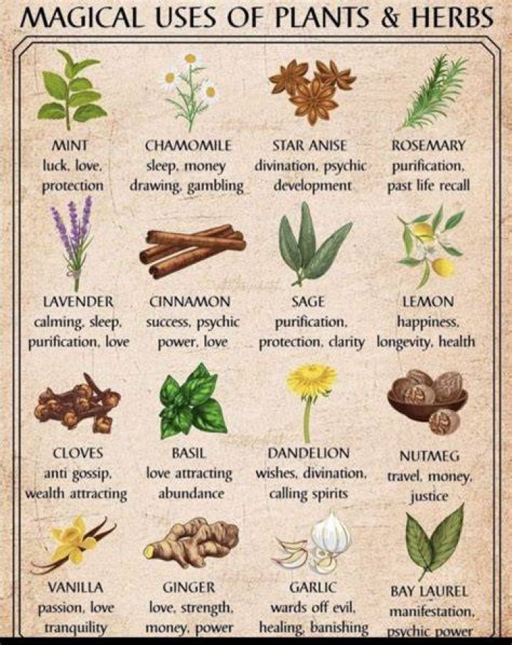 Herbs for Transmutation, Magic and Alchemy YouTube