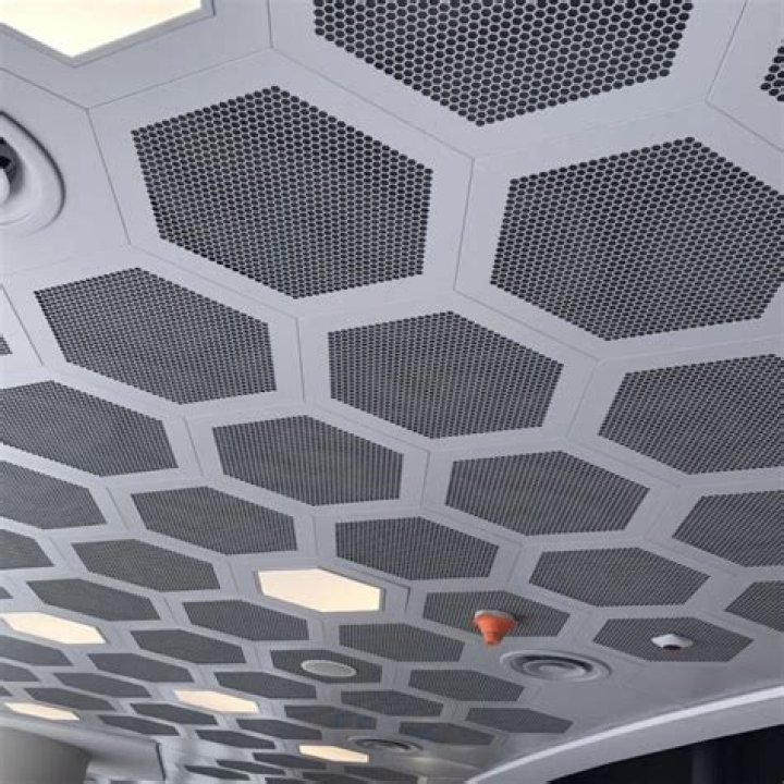 Hexagon Ceiling Panels Arktura SoundStar&reg;