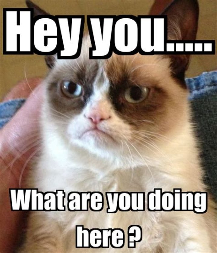 Hey what are you doing? QuotesBook