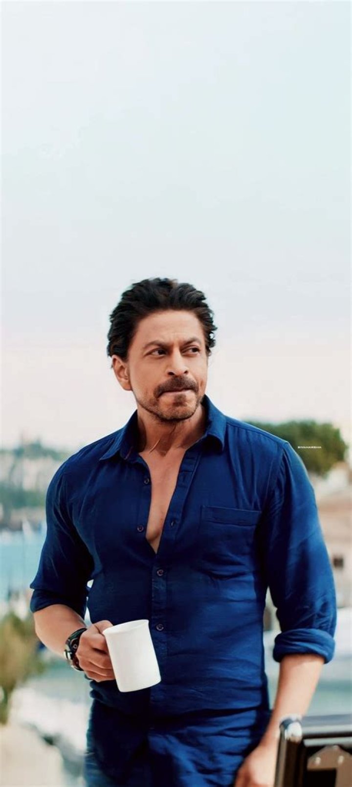 hindi.1080p SRK