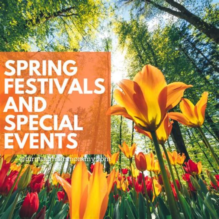HMAC 2024 Spring Rush Events Houston Metropolitan Alumnae Chapter