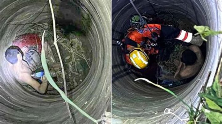 Horror as man falls into volcano Sunshine Coast Daily