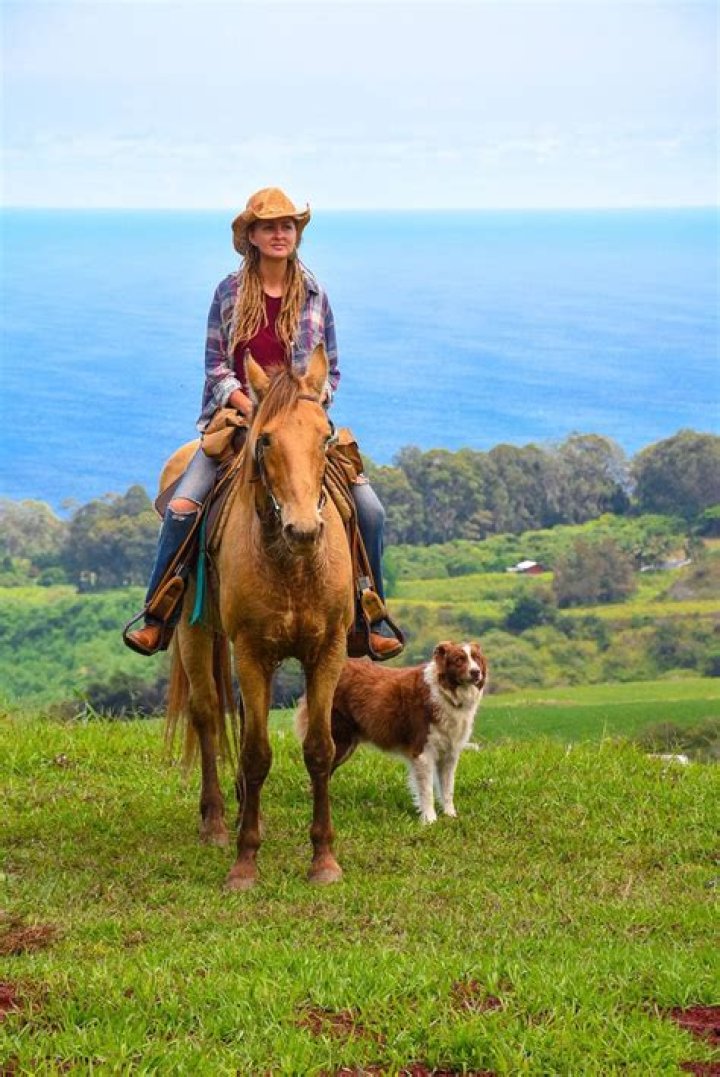 Horseback Riding on the Island of Maui Hawaii Attractions