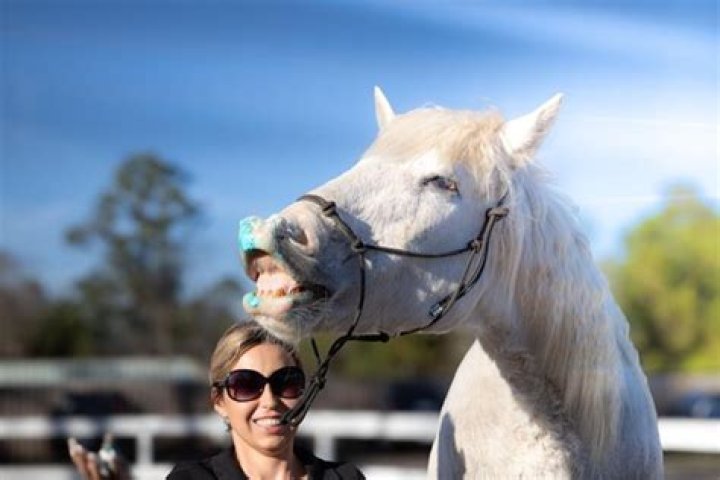 Horsing Around the World With&hellip;Katie Van Slyke HORSE NATION