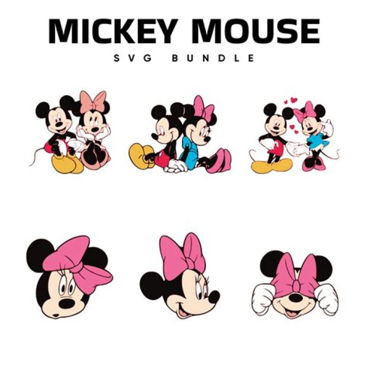 HOT Mickey and Minnie Mouse Cartoon Disney 100 Years of Wonder Purple
