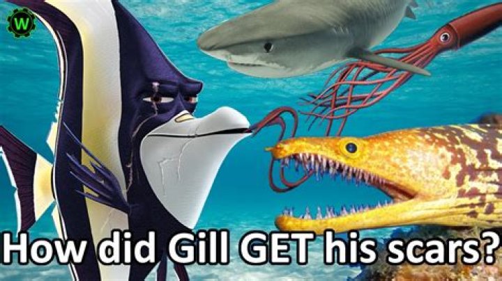 How did Gill get his scar? Pixar Theory Discovering Disney YouTube