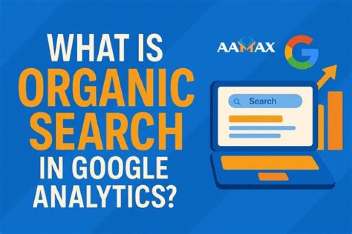 How Does Your Organic Google Ranking Affect CTR? Blue Bee Solutions