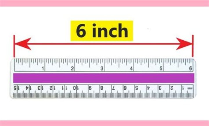 how long is 6 inches on a ruler