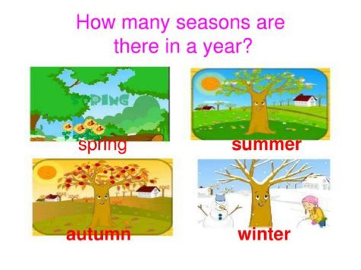 How many seasons are there? What are they? Brainly.in