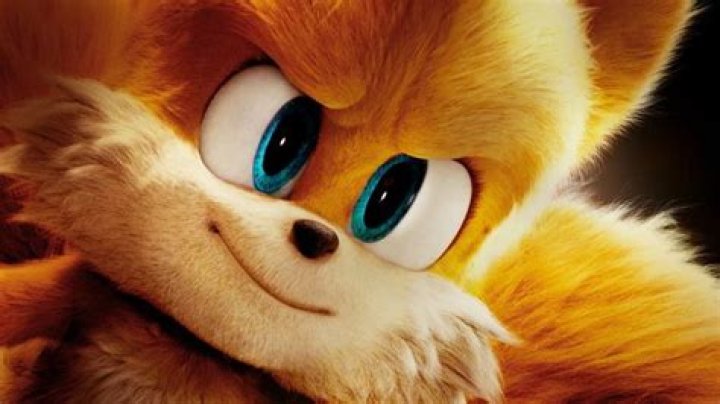 How old is Tails from the Sonic the Hedgehog series? Answered Gamepur