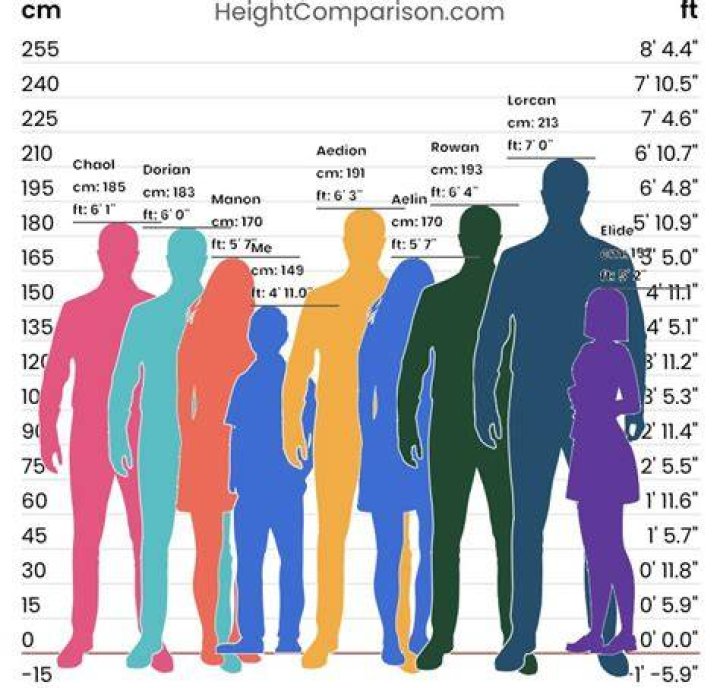 How Tall Is 76 Cm? Update