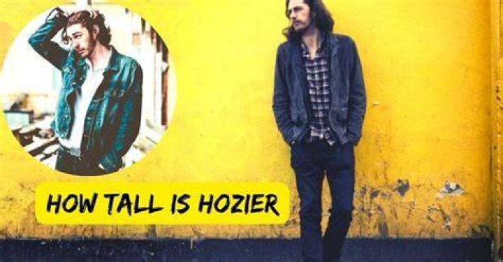 How Tall is Hozier? Hozier's Height Explained SarkariResult