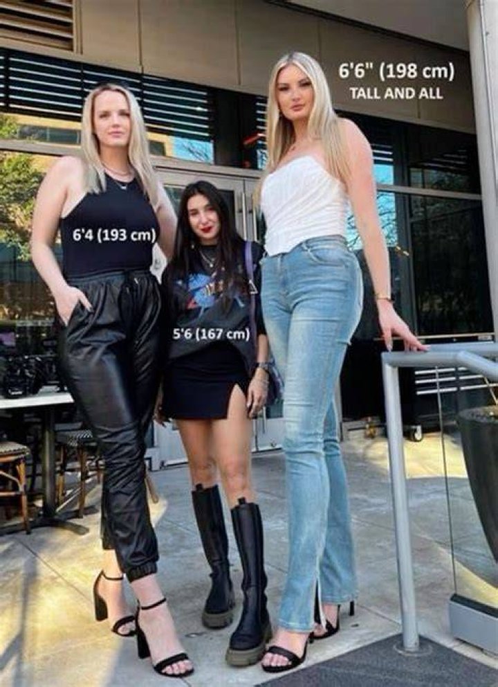 How Tall Is Lee Marvin? Height Comparison! YouTube