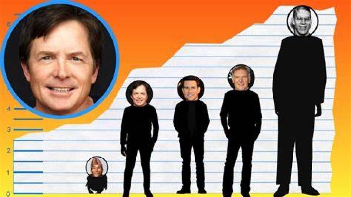 How Tall Is Michael J. Fox? Height Comparison! YouTube