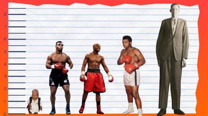 How Tall Is Mike Tyson? Height Comparison! YouTube
